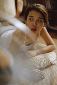 与君歌